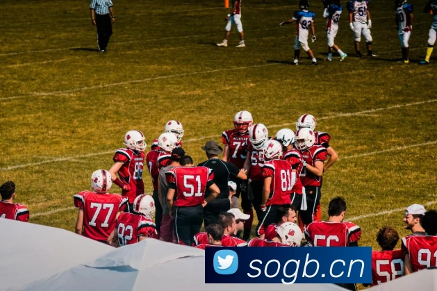 云开体育app官网入口登录网页版APP 体育赛事宣传图